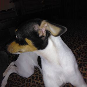 Meet your Posher, Dylan